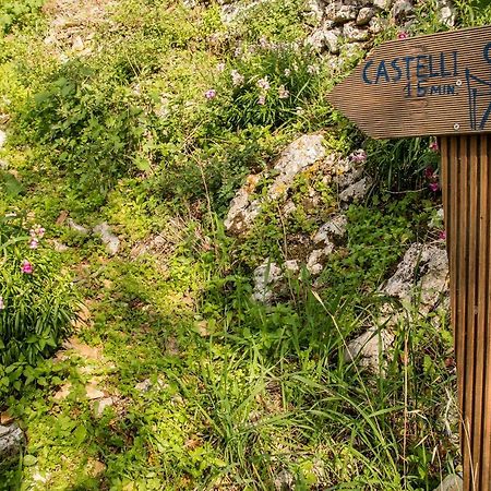 Castelli Olive Press Konuk evi Acharavi  Dış mekan fotoğraf