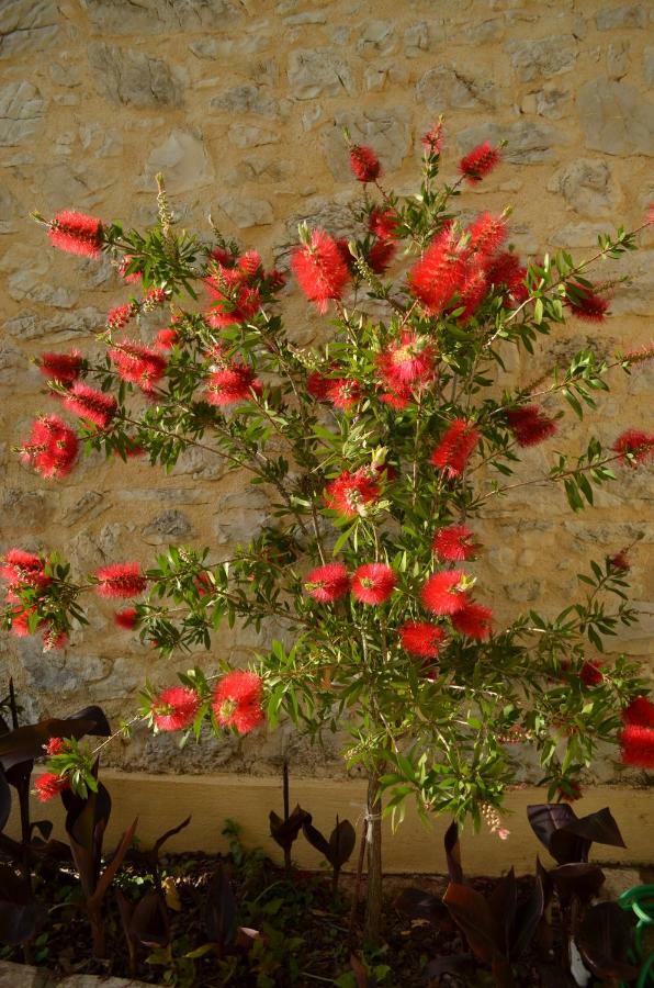 Castelli Olive Press Konuk evi Acharavi  Dış mekan fotoğraf